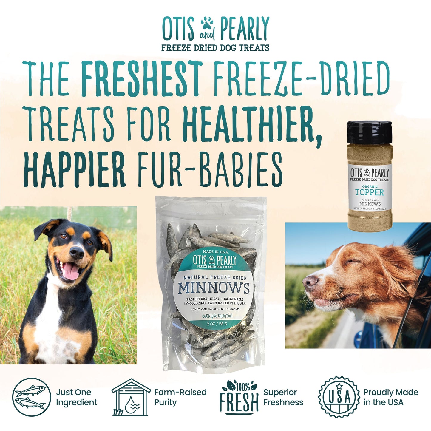 Freeze Dried Minnows
