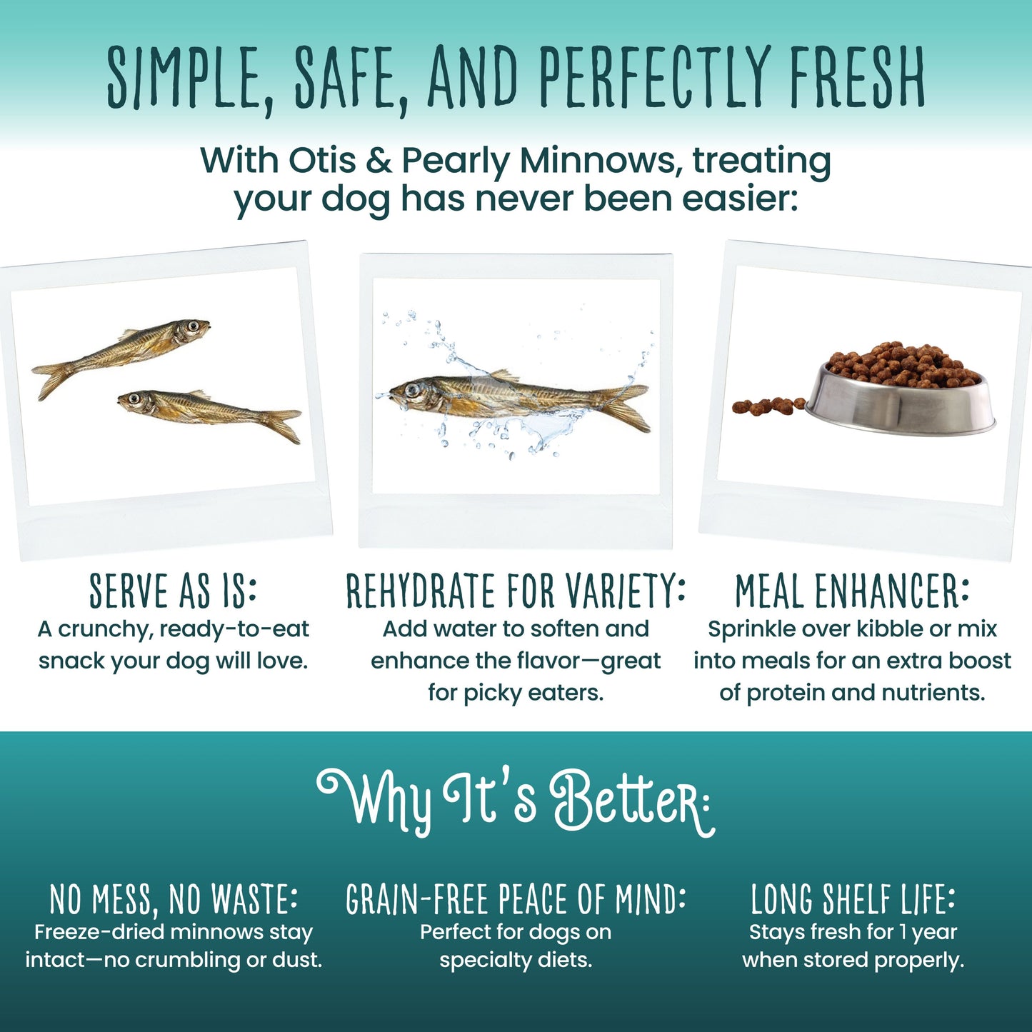 Freeze Dried Minnows
