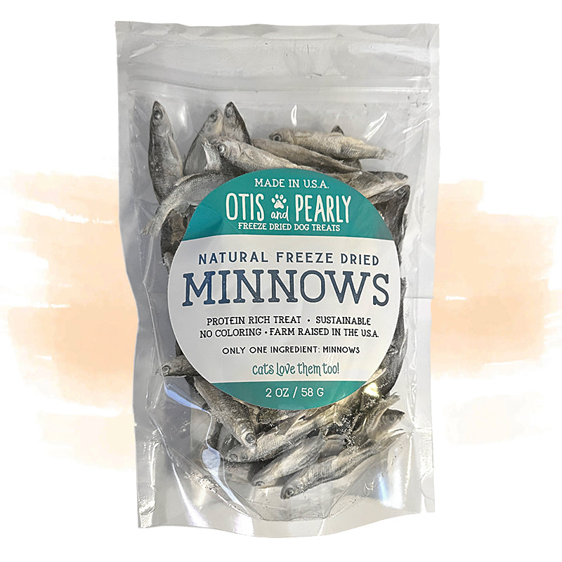 Dried minnows best sale